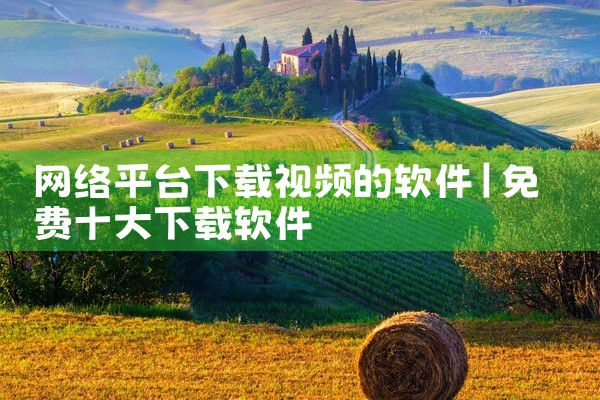 网络平台下载视频的软件