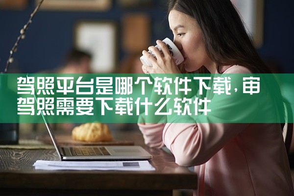 驾照平台是哪个软件下载