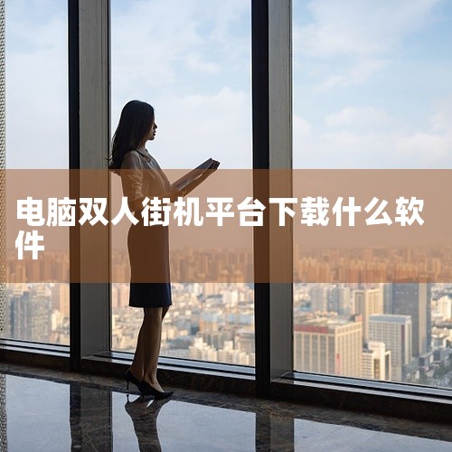 《双人游戏》：从名称即可看出，该软件专注于双人游戏领域，提供了大量适合两人共同游玩的游戏。其游戏类型丰富多样，涵盖了动作、益智、休闲等多个品类，能满足不同玩家的兴趣偏好。联机功能便捷，玩家可以轻松与朋|