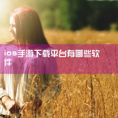 ios公益服平台哪款比较好 2025年度最佳公益服平台排行,bt手游盒子大全iOS,有哪些值得推荐的?如何选择?,ios有哪些手游助手,苹果有什么可以下游戏的软,