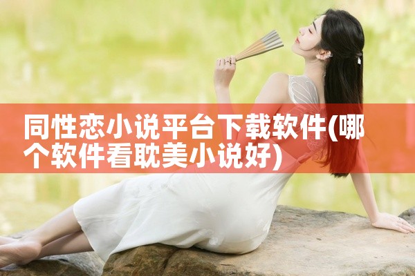 同性恋小说平台下载软件