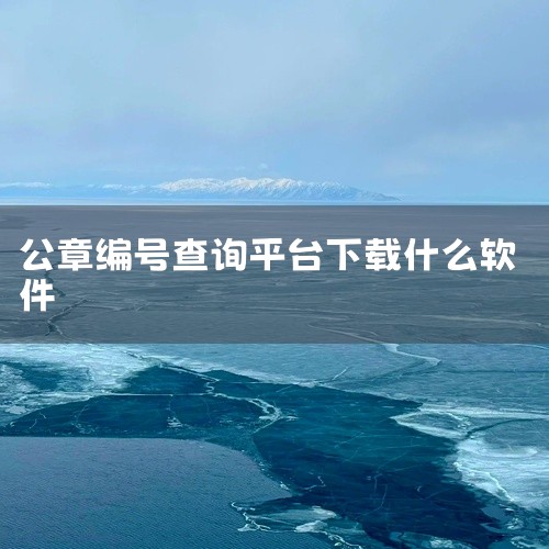 一、政务服务平台：部分地方政府推出的政务服务APP或网上办事大厅，可能提供涉及公章真伪验证的功能板块，比如在企业开办、政务审批等相关业务流程中，可通过该平台查询与之关联的公章防伪码状态，但这需要经过特,