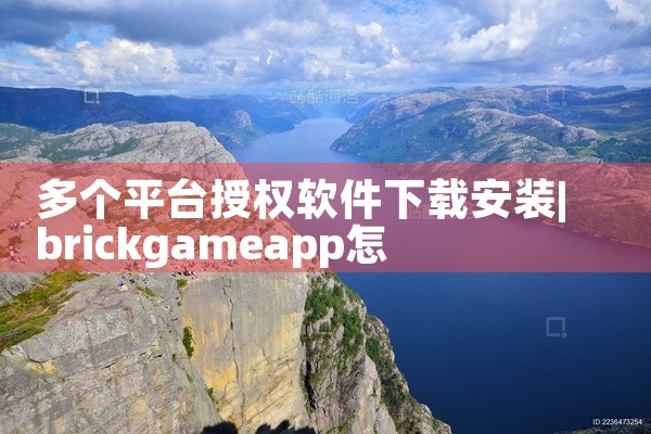 多个平台授权软件下载安装