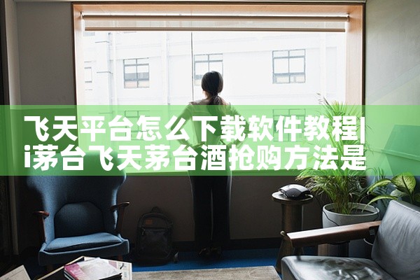 飞天平台怎么下载软件教程