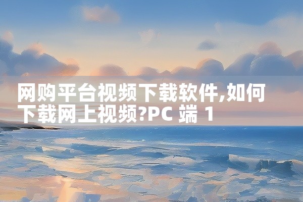 网购平台视频下载软件