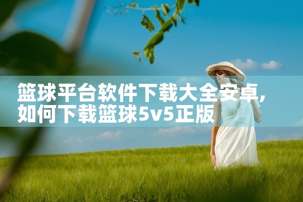 篮球平台软件下载大全安卓