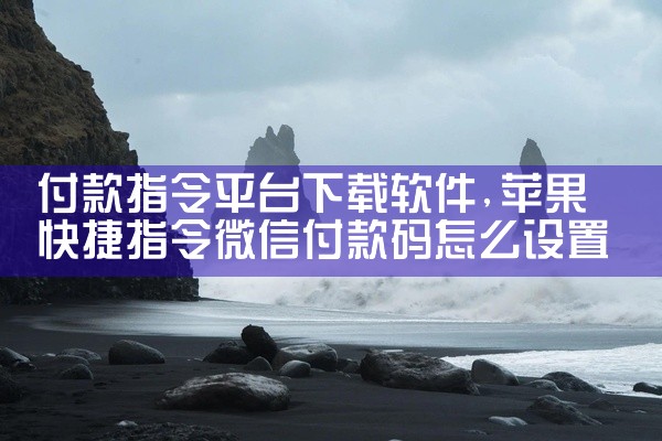 付款指令平台下载软件