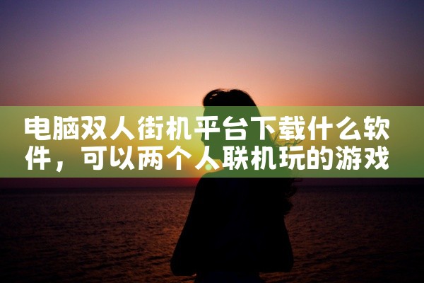 电脑双人街机平台下载什么软件