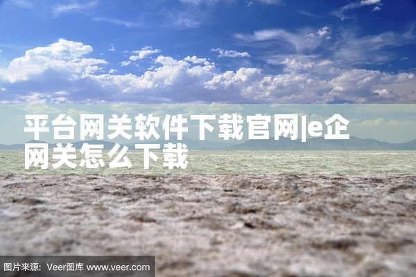 平台网关软件下载官网