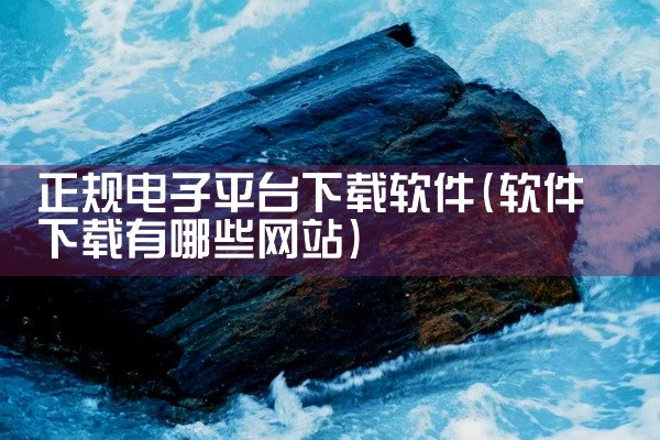 正规电子平台下载软件